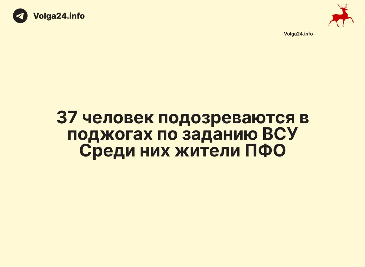 В ходе спецопераций в нескольких крупных городах и республиках изъяли десятки устройств и тысячи SIM‑карт; по ряду эпизодов возбуждены уголовные дела.