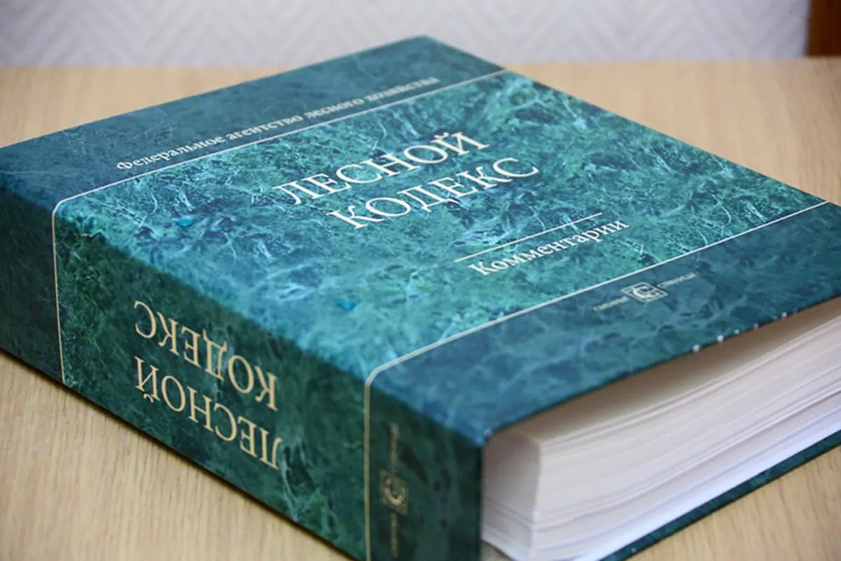 Лесной кодекс 2006 года претерпел множество поправок — внесли 79 пакетов изменений. Эксперт по лесному хозяйству считает, что документ устарел и требует полной замены и значительного упрощения.