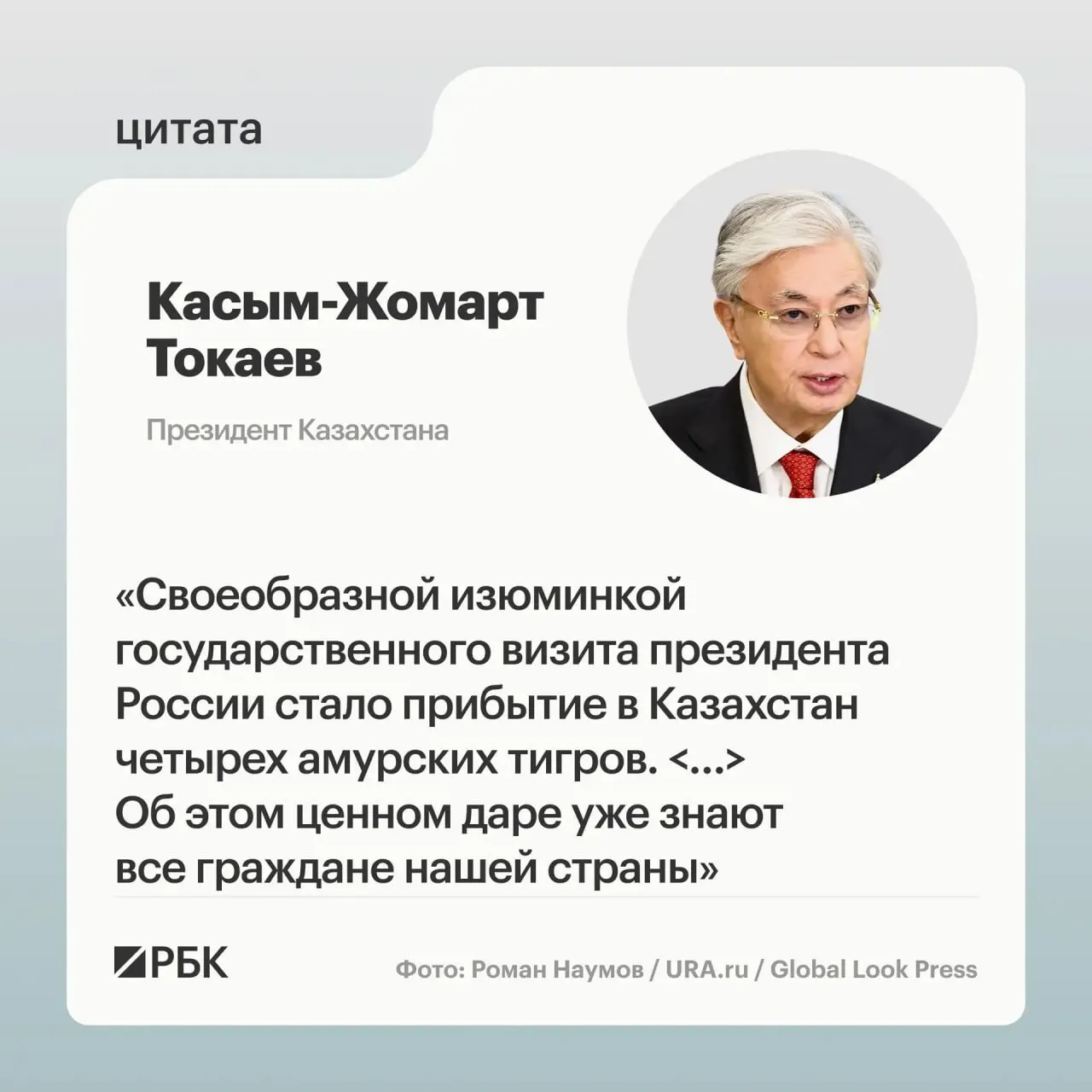 Российская сторона передала Астане семейную группу амурских тигров после обращения Казахстана с просьбой о помощи в возрождении вида; президентам показали презентацию о животных.