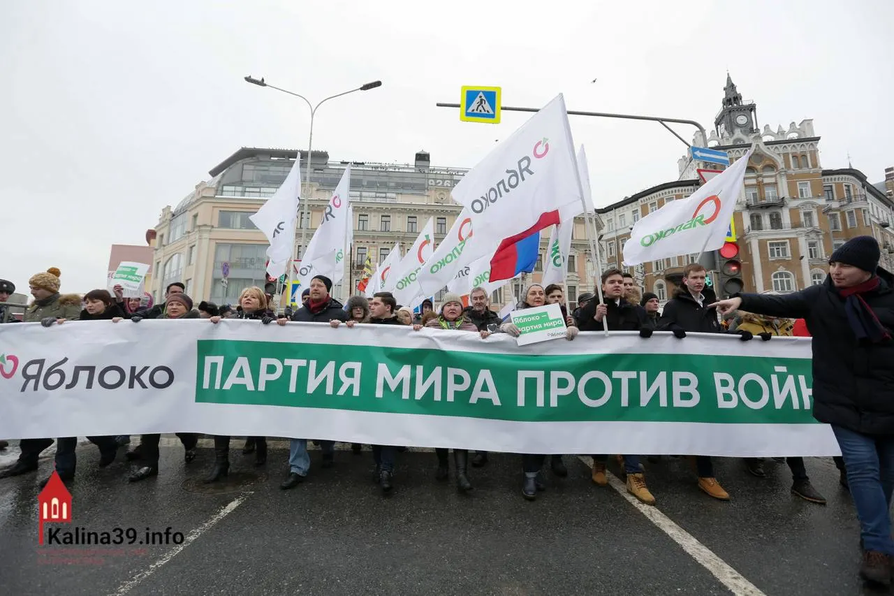Эксперты считают, что регистрация федерального списка партии, выступающей против войны, может быть способом безопасно направить протестные настроения; при этом многие заметные члены партии лишены возможности баллотироваться.