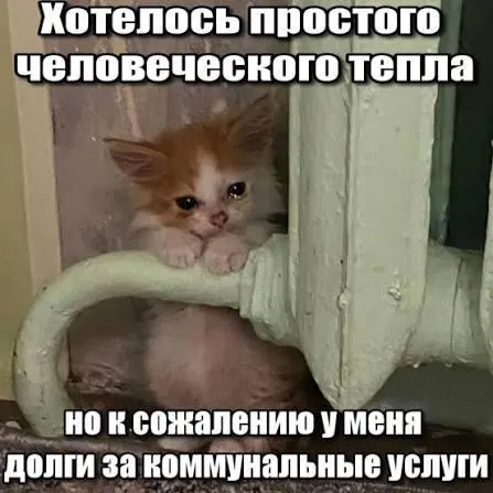 ВС подтвердил, что срок исковой давности в три года препятствует включению в платёжные документы задолженностей за капитальный ремонт старше этого периода — это ограничивает возможности принудительного взыскания и защищает покупателей вторичного жилья и наследников.