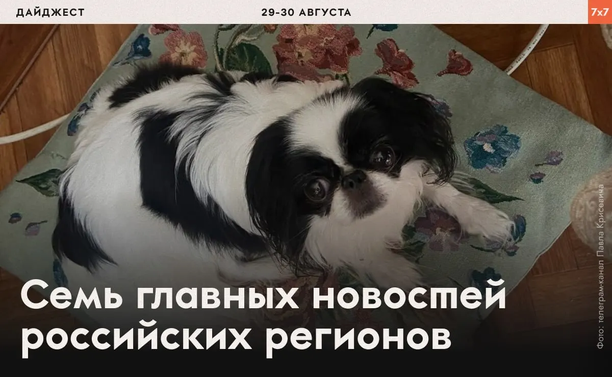Затронуты случаи принуждений к физическим упражнениям, давление на юристов, запреты агитации и региональные ограничения.