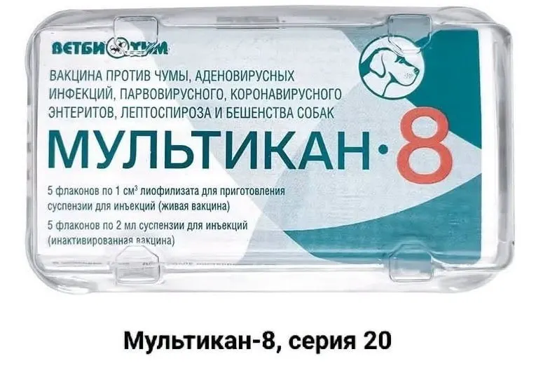 Расследование гибели собак после прививки вызывает вопросы к производителю и надзорным органам.