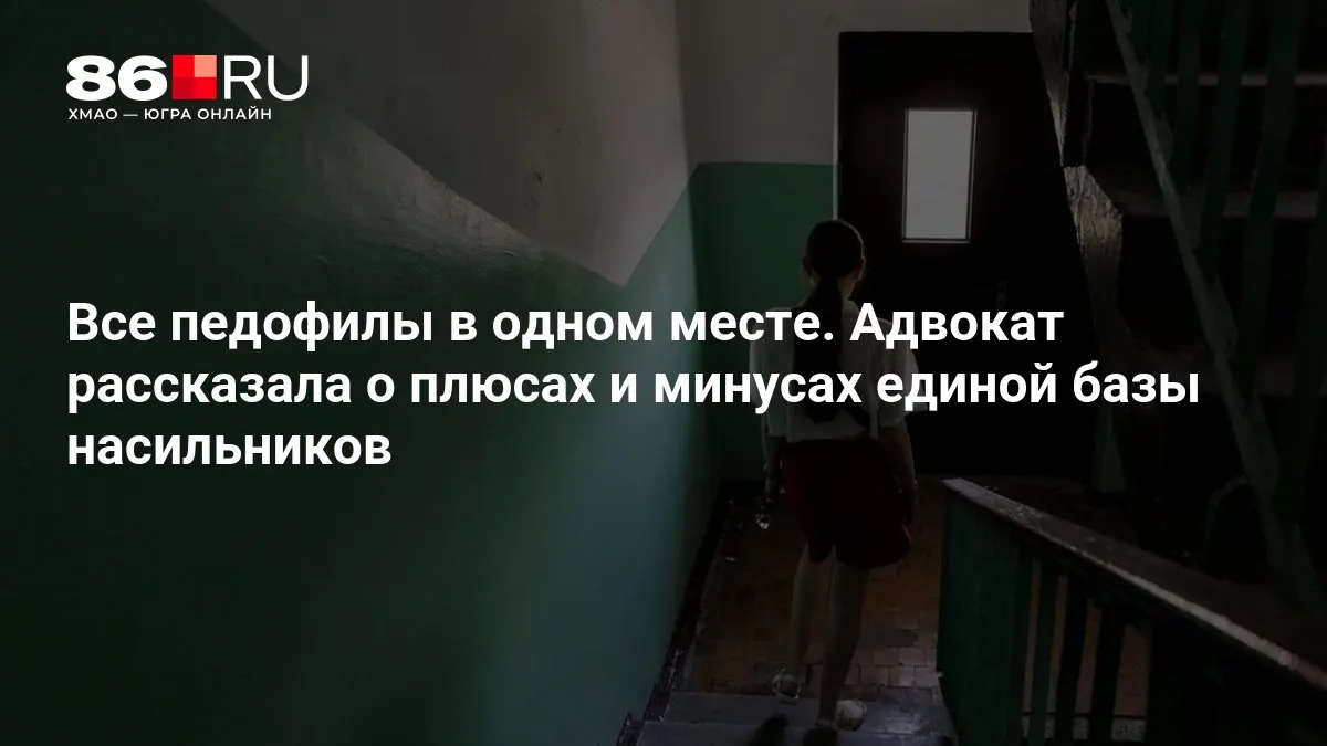 МВД работает над созданием системы и оценивает её преимущества и риски.