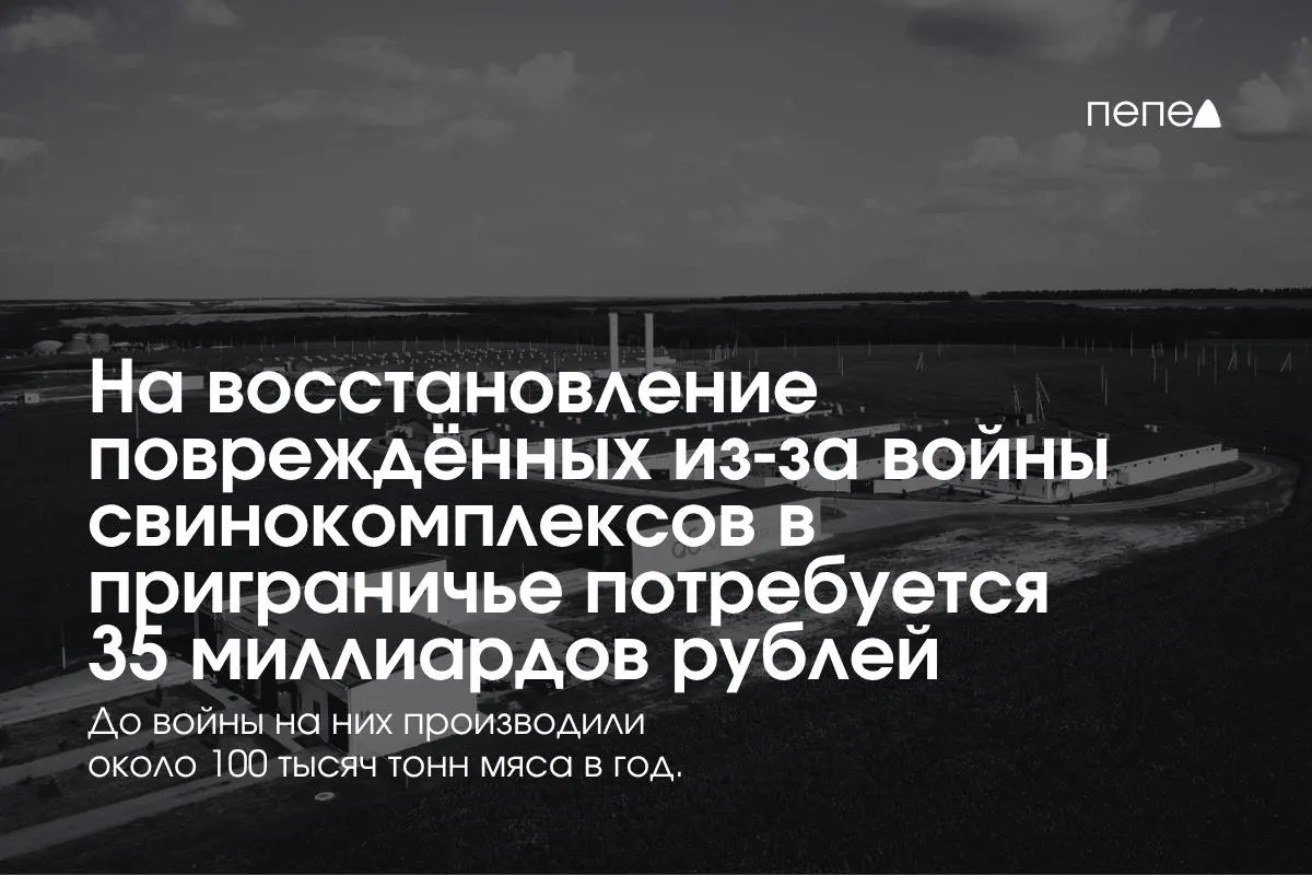 Состоится пресс-конференция по свиноводству озвучила ориентировочные затраты на безопасность, защиту и восстановление производств в Белгородской, Курской и Брянской областях.
